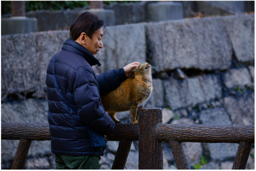 sifcothai | Elderly Nutrition in Japan