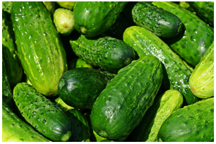 Global Cucumber Industry